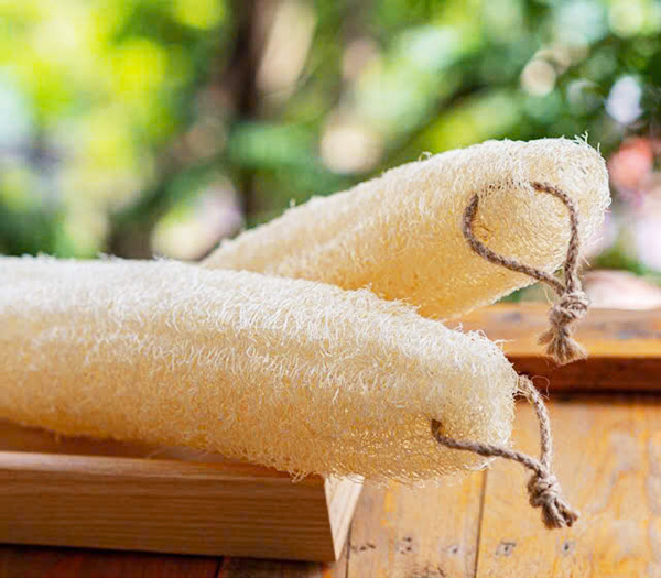 Bông tắm xơ mướp